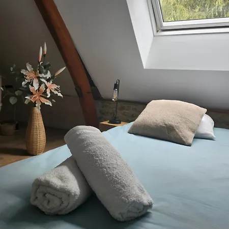 Nocleg ze śniadaniem Sophie Le Feuvre - Soins Energetiques Baugé